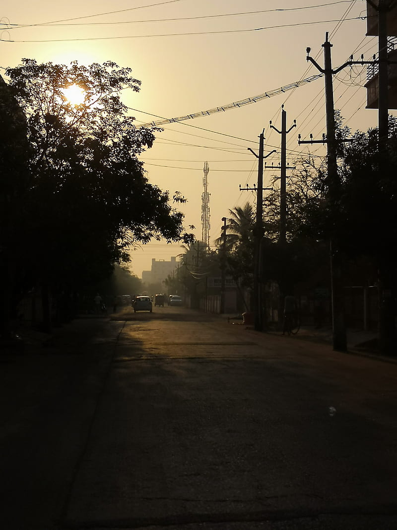 Sun shine, early morning, evening, fog, graphy, raise, road, traffic, HD phone wallpaper