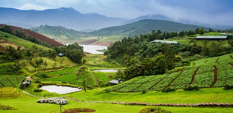 Discover outstanding tour packages available for exploring Ooty, ooty view, ooty, ooty packages, ooty trip, HD wallpaper