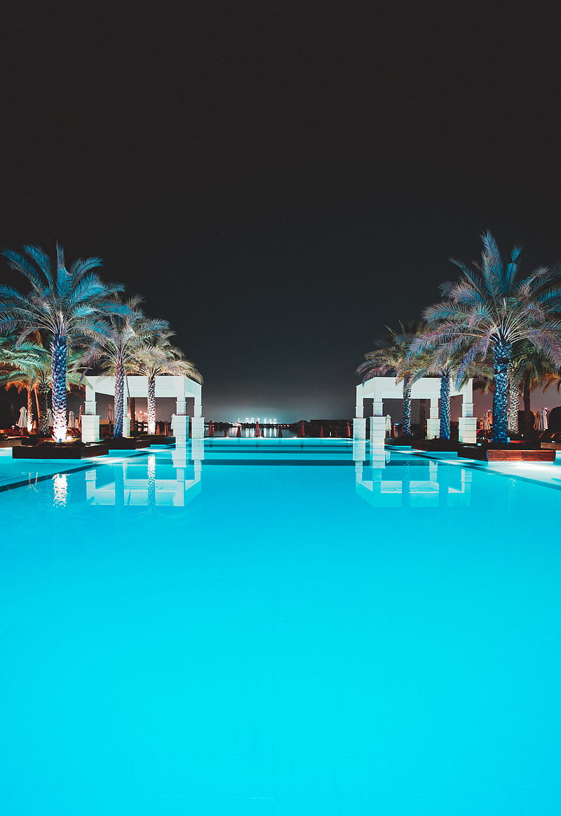 pool, water, palm trees, rest, luxury, HD phone wallpaper