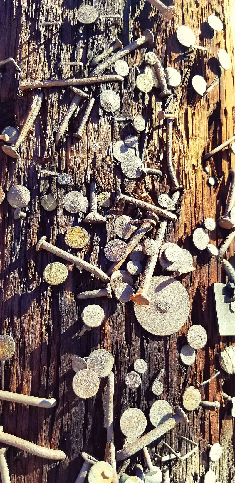 Posted, cool, holiday, nails, old, graphy, rusty, social media, telephone pole, texas, wood, HD phone wallpaper