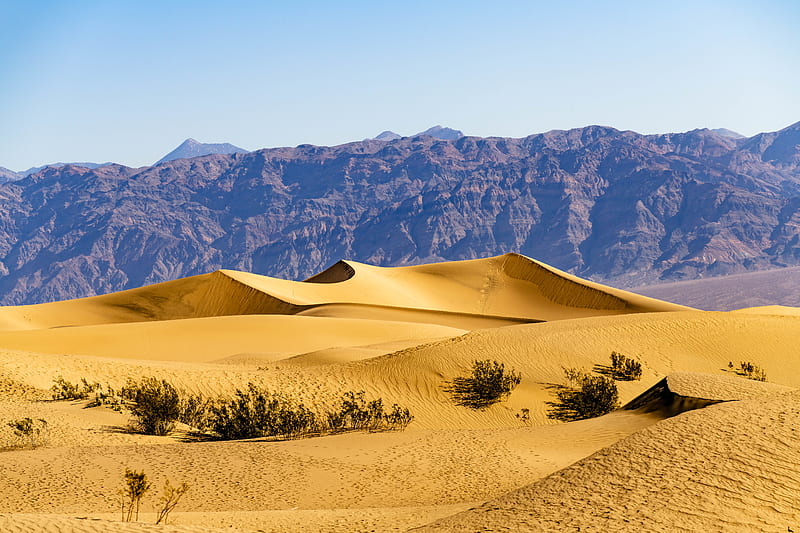 desert, dunes, mountains, sand, bushes, nature, HD wallpaper