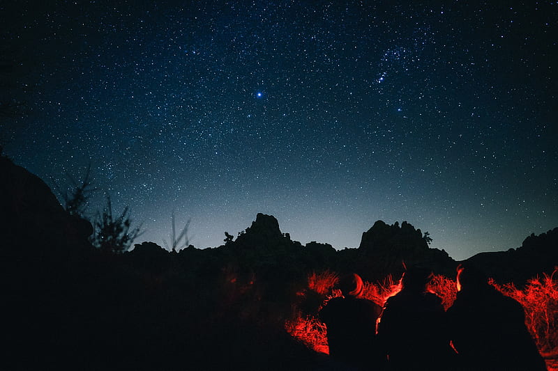 People Sitting Around Campfire In Dark Night, HD wallpaper