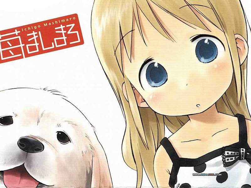 Ichigo-mashimaro 4, cute, girl, anime, ichigo, mashimaro, dog, HD wallpaper  | Peakpx