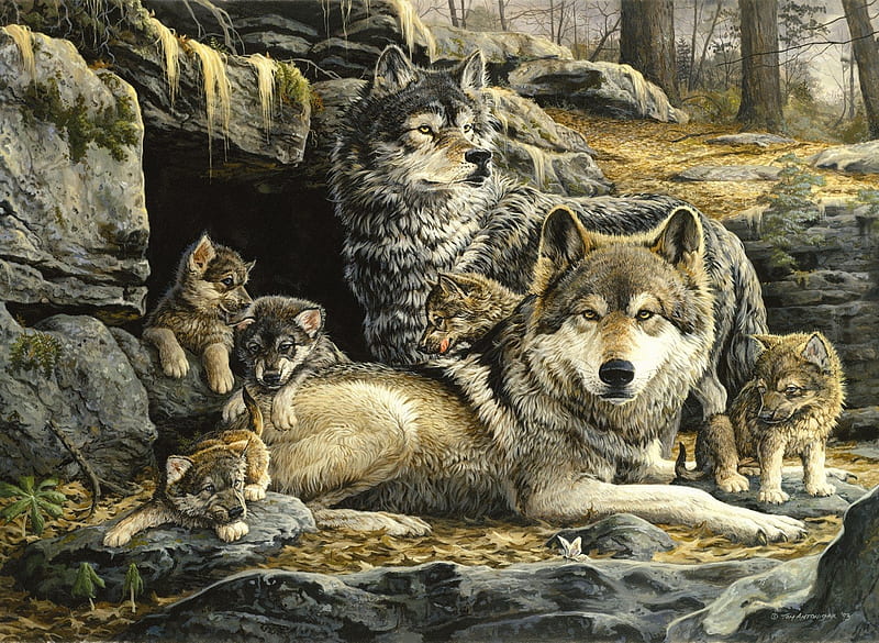 Wolves, family, art, painting, lup, wolf, pictura, HD wallpaper | Peakpx