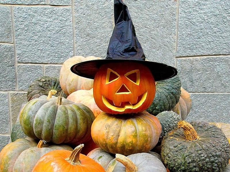 hallowen pumpin, fall, halloween, pumpkin, gords, HD wallpaper