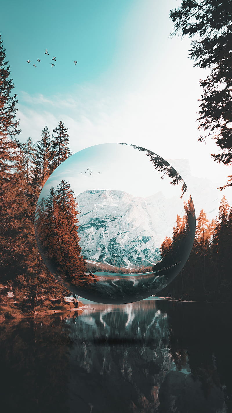 Water Glass Ball, birds, earth, glassl, landscape, magic ball, sky, trees, water ball, HD phone wallpaper