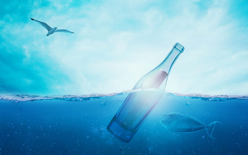 bottle underwater, sea, sun, bird, fish, HD wallpaper