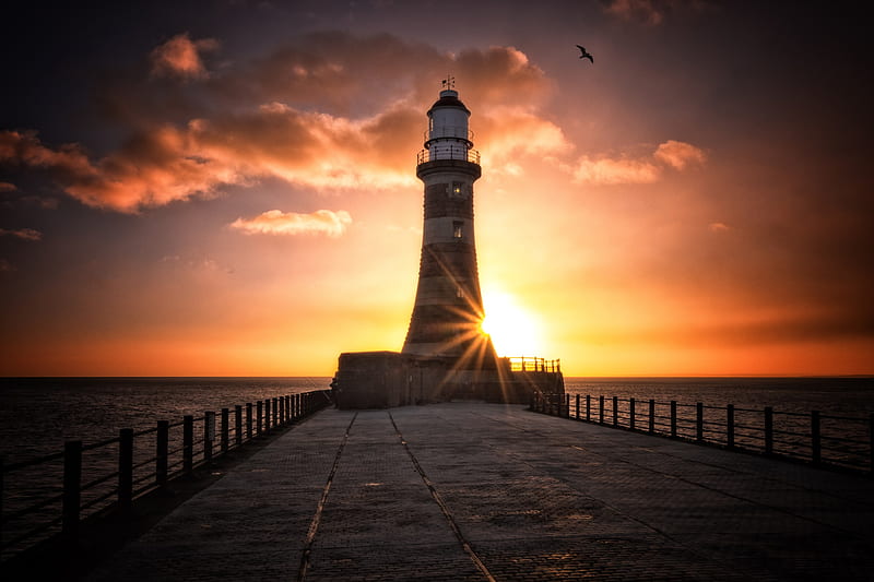 Roker Lighthouse, lighthouse, nature, sunset, birds, HD wallpaper