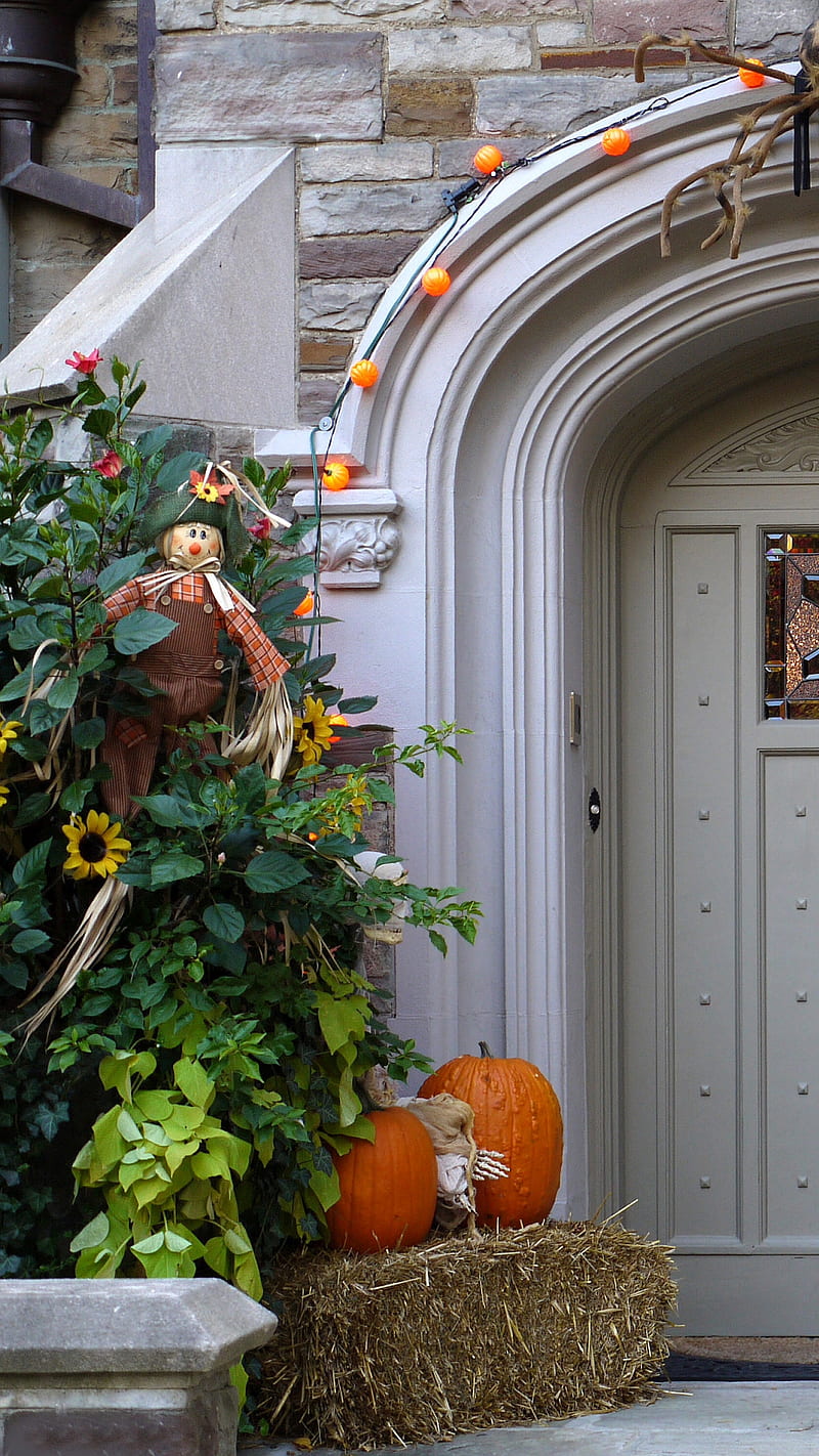 Halloween, decorations, front door, HD phone wallpaper