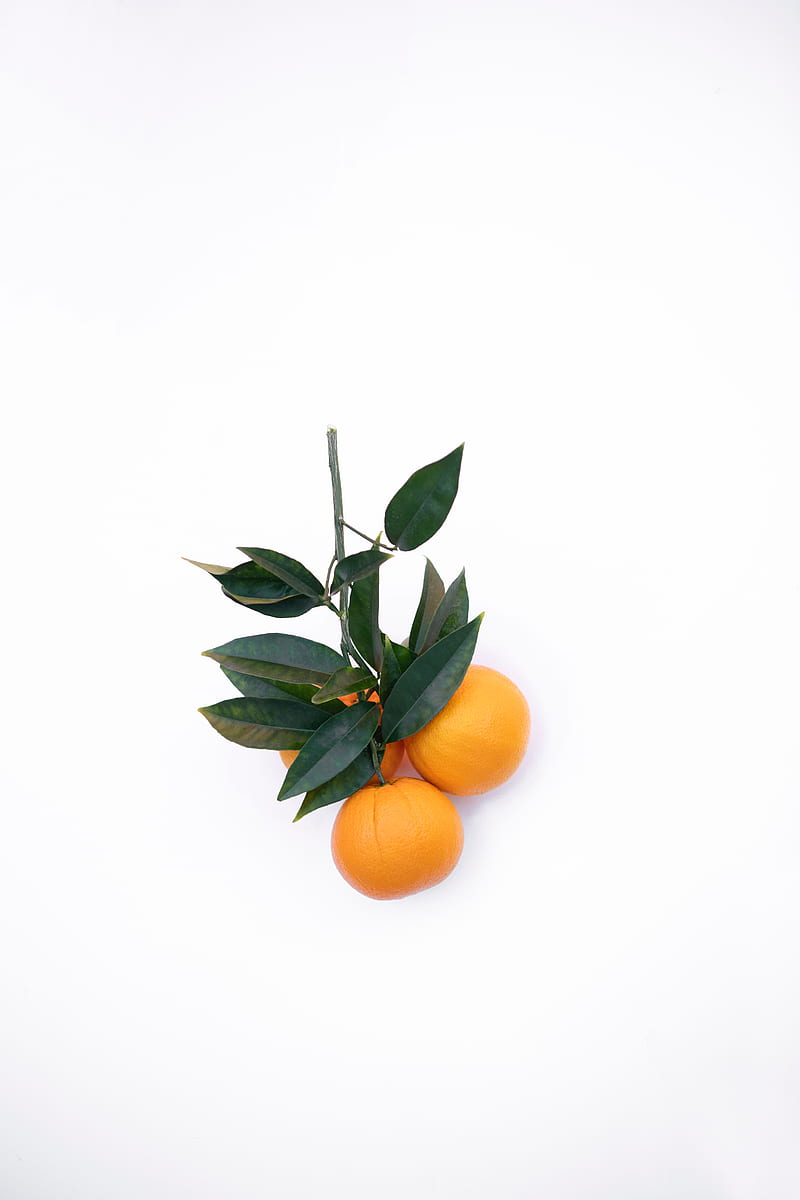 tangerines, citrus, minimalism, branch, HD phone wallpaper