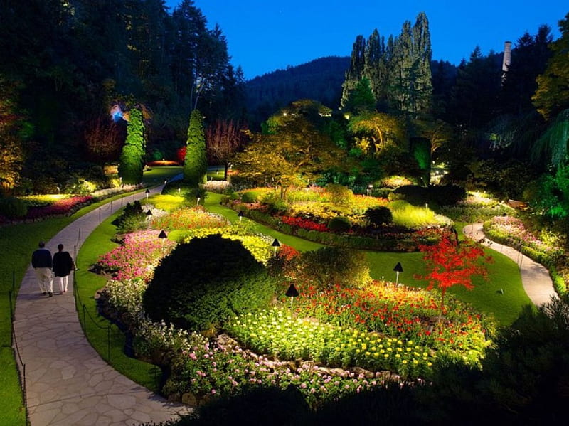 Butchart Gardens, Canada, vancouver island, path, park, evening, lights, HD wallpaper