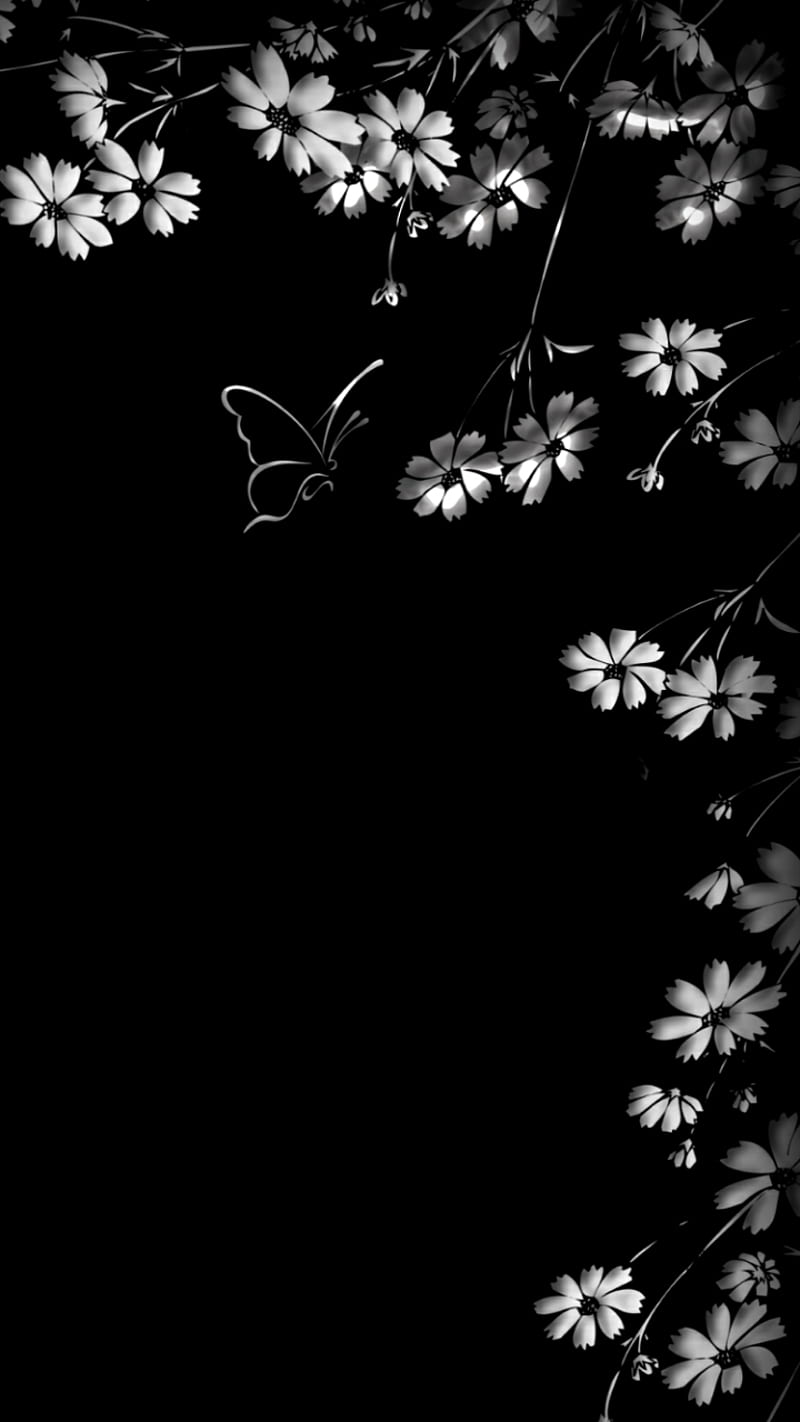 butterfly, black, flowers, white, HD phone wallpaper