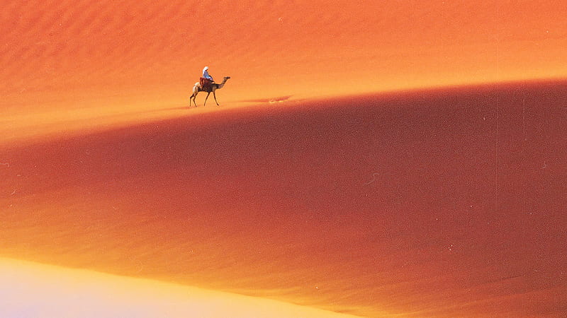 Desert Man Camel Safari, desert, camel, artist, artwork, digital-art, HD wallpaper