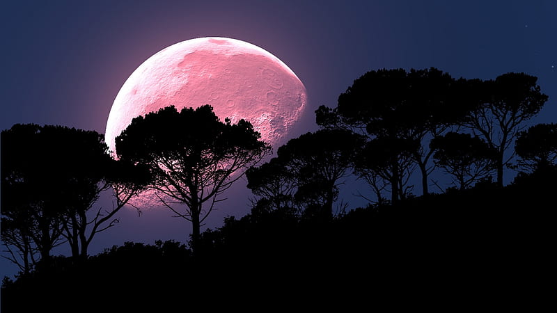 :-), night, moon, tree, moon, black, silhouette, pink, HD wallpaper