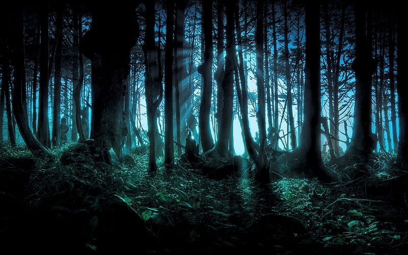 Dark Forest, creepy, Samhain, Forest, spooky, Halloween, dark, HD wallpaper