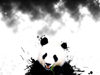 SUPREME, white, oso panda, parisred, HD phone wallpaper