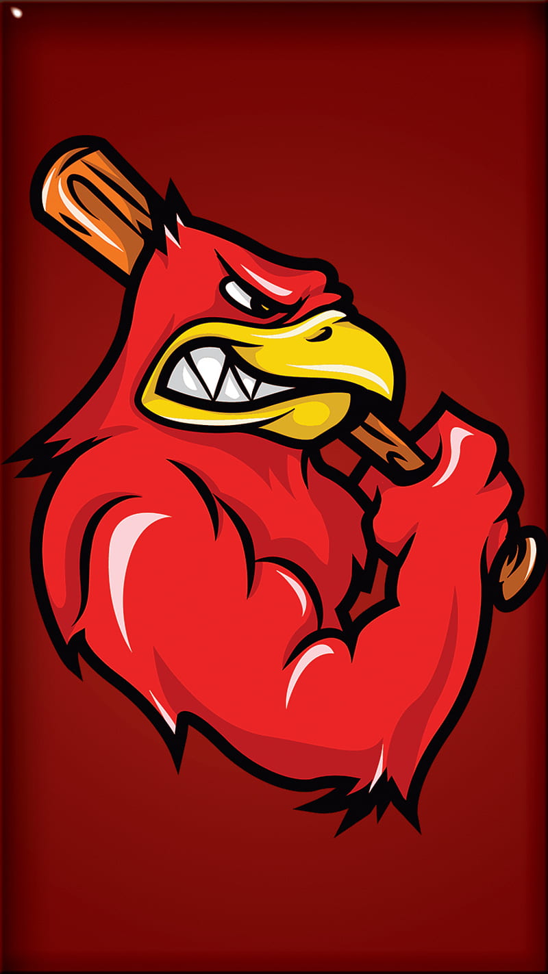 Baseball, bat, bird, red, HD phone wallpaper
