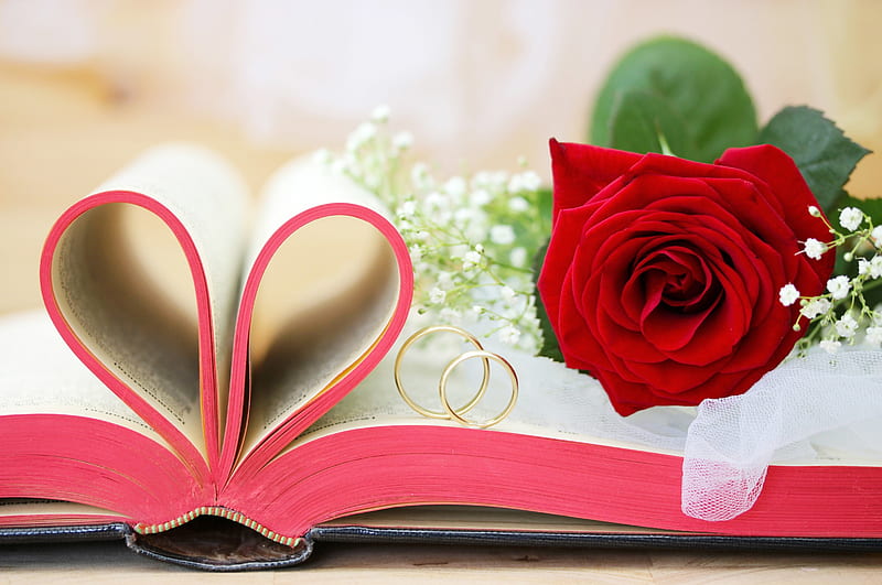 love, gold, rose, book, flowers, Wedding rings, wedding, HD wallpaper