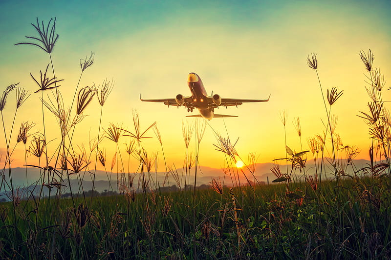 plane, grass, takeoff, sky, sunset, dawn, HD wallpaper