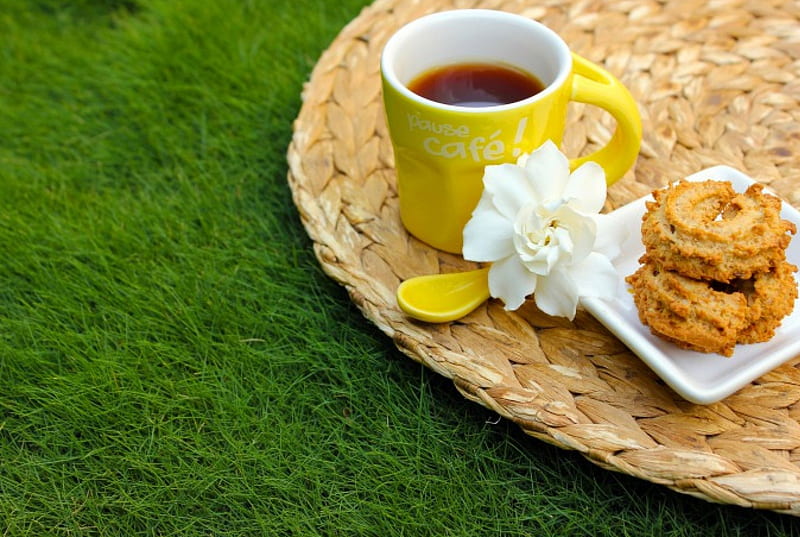 Tea break, cookies, spoon, grass, flower, yellow, cup, white, tea, HD wallpaper