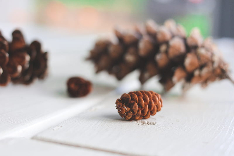 brown pine cone on white table, HD wallpaper