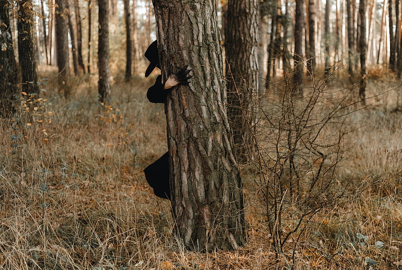 Tree hat