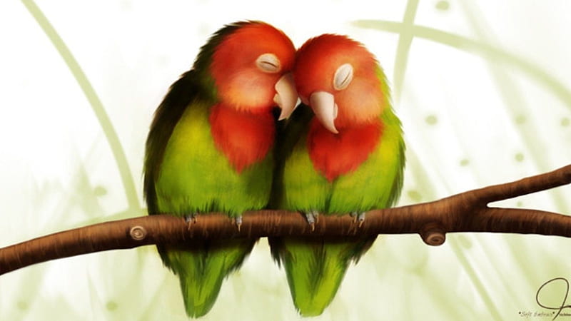 Cute Cuddling Birds 4K Desktop Wallpaper [1920×1080] : r/wallpaper