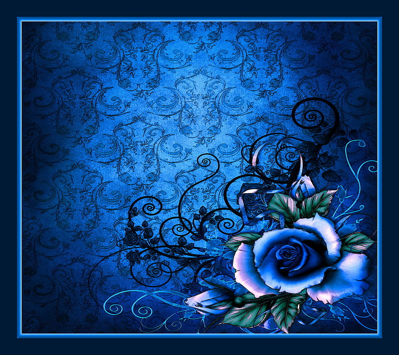 Blue Rose Abstrcat Blue Rose Framed Hd Wallpaper Peakpx