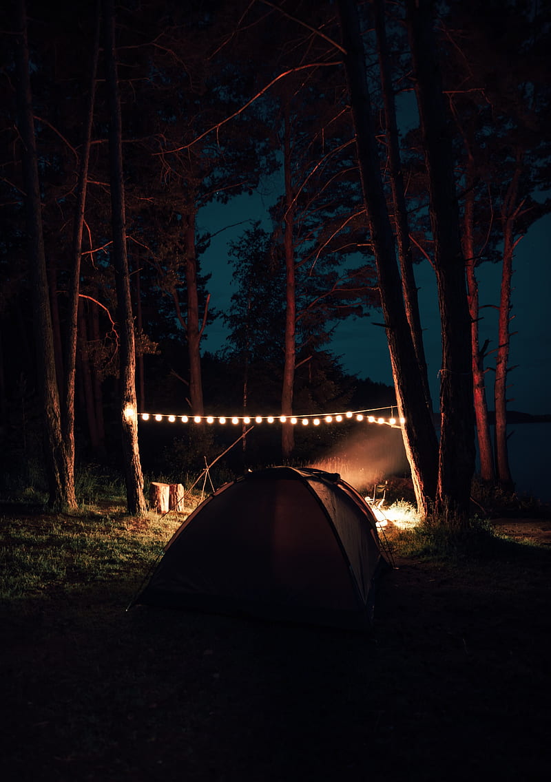 camping, hiking, garland, comfort, night, HD phone wallpaper