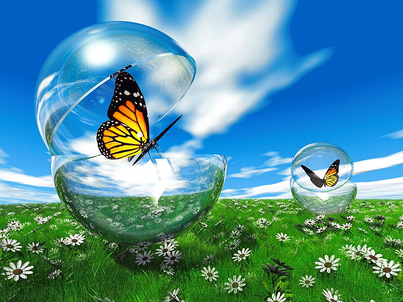 Butterfly in a bubble in the meadow, pretty, bubble, metamorphose, grass, bonito, spring, sky, butterfly, flying, summer, flowers, meadow, HD wallpaper