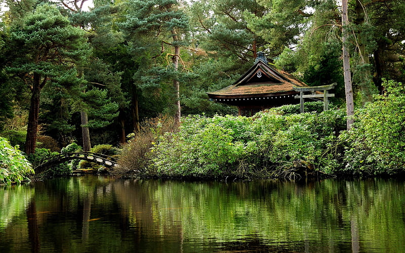 england, pond, house, trees, reflection, mini bridge, plants, Nature, HD wallpaper