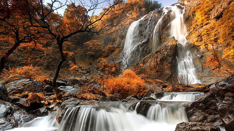 waterfall over autumn colored cliff, autumn, vegetation, cliff, trees, waterfalls, HD wallpaper