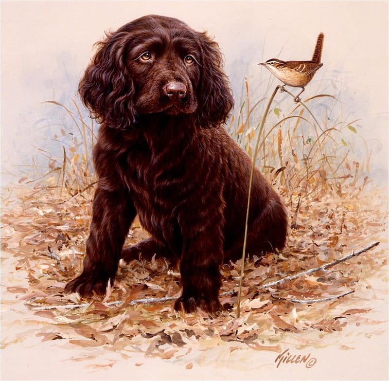 Brown labrador, art, hunting, jim killen, labrador, painting, dog, HD wallpaper