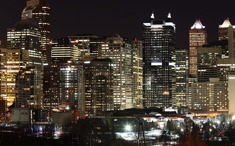 Calgary's Night, nightview, calgary, downtown, skyscrapers, HD wallpaper