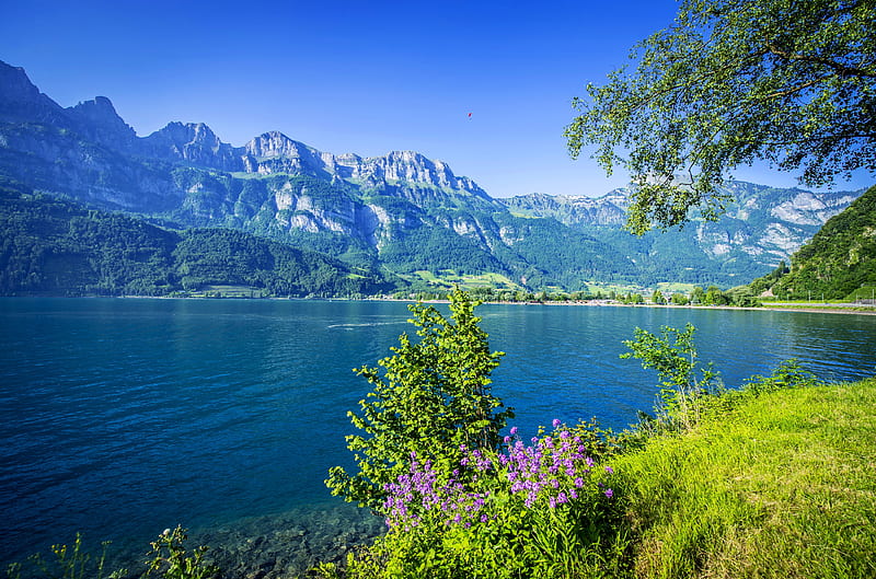 Lake Valence, Switzerland, lake, mountain, view, grass, wildflowers, summer, Switzerland, sky, HD wallpaper