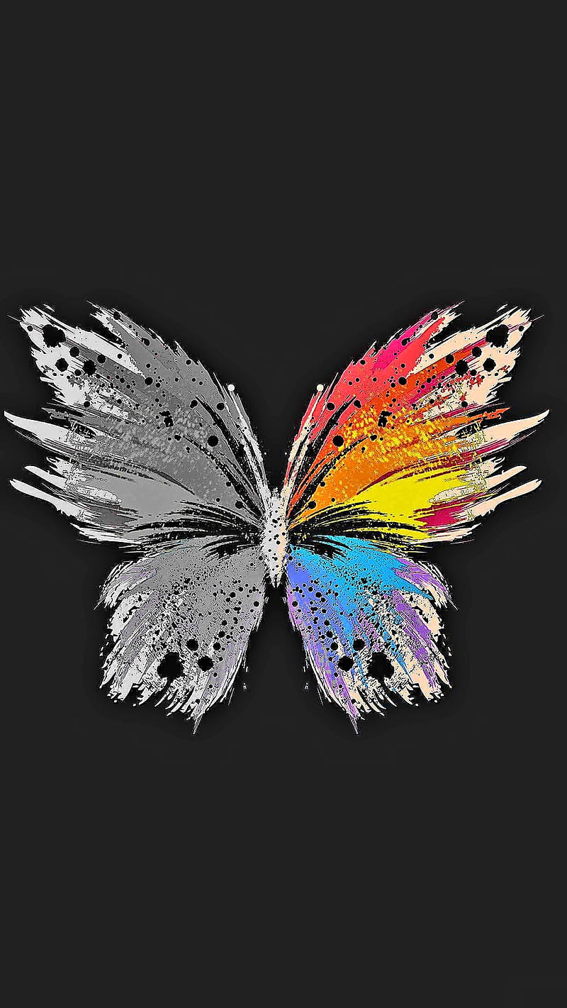 Spring, art, butterfly, greyscale, pop, rainbow, HD phone wallpaper