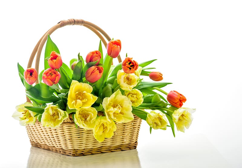 Flower, , Basket, Tulip, Yellow Flower, , Orange (Color), Orange Flower, HD wallpaper