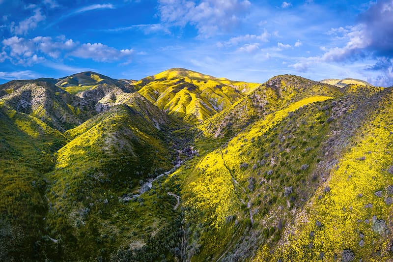 Carrizo Plain National Monument In California, landscape, california, usa, world, mountains, nature, HD wallpaper