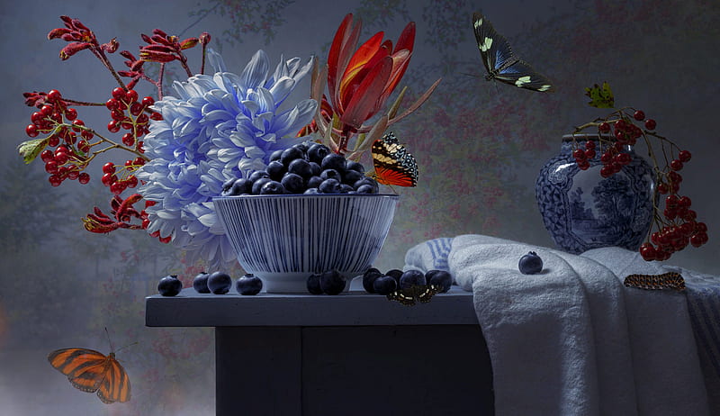 Food, Blueberry, Berry, Butterfly, Flower, Fruit, Still Life, HD wallpaper
