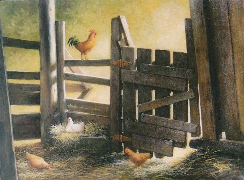 Chicken Coop, fence, feeding, nest, eggs, chickens, HD wallpaper