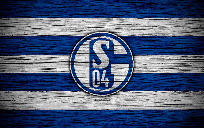 Schalke 04 Bundesliga, logo, Germany, wooden texture, FC Schalke 04, soccer, football, Schalke 04 FC, HD wallpaper