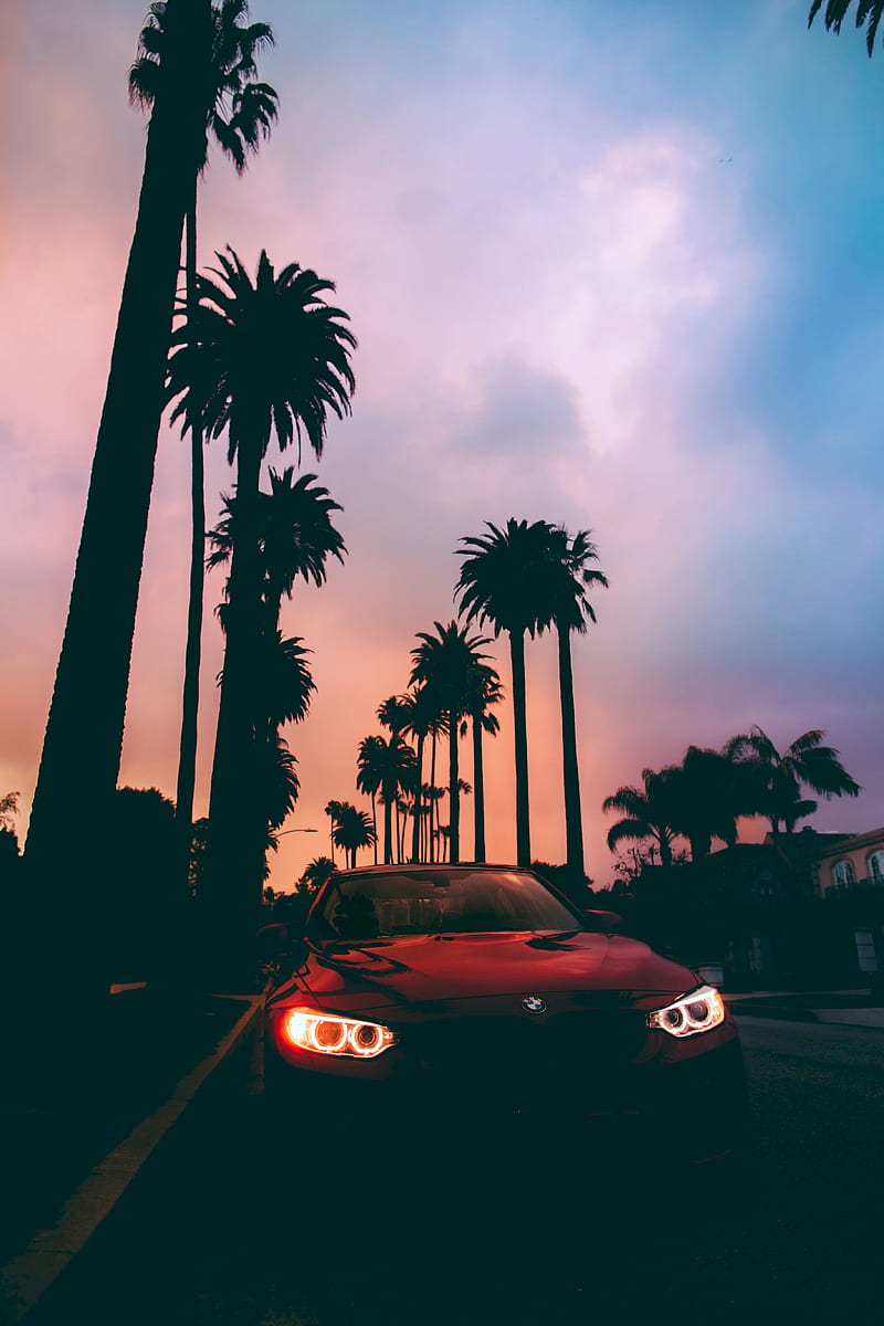 bmw 3, bmw, sunset, front view, palm trees, HD phone wallpaper