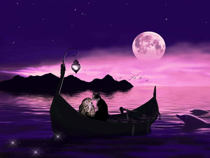 THE OWL AND THE PUSSYCAT, owl, stars, ocean, canoe, cat, sky, moon, purple, dolphins, pink, animals, night, HD wallpaper