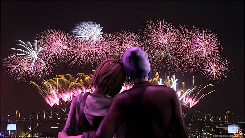 Couples Are Watching Firecracker Sparkles Couple, HD wallpaper
