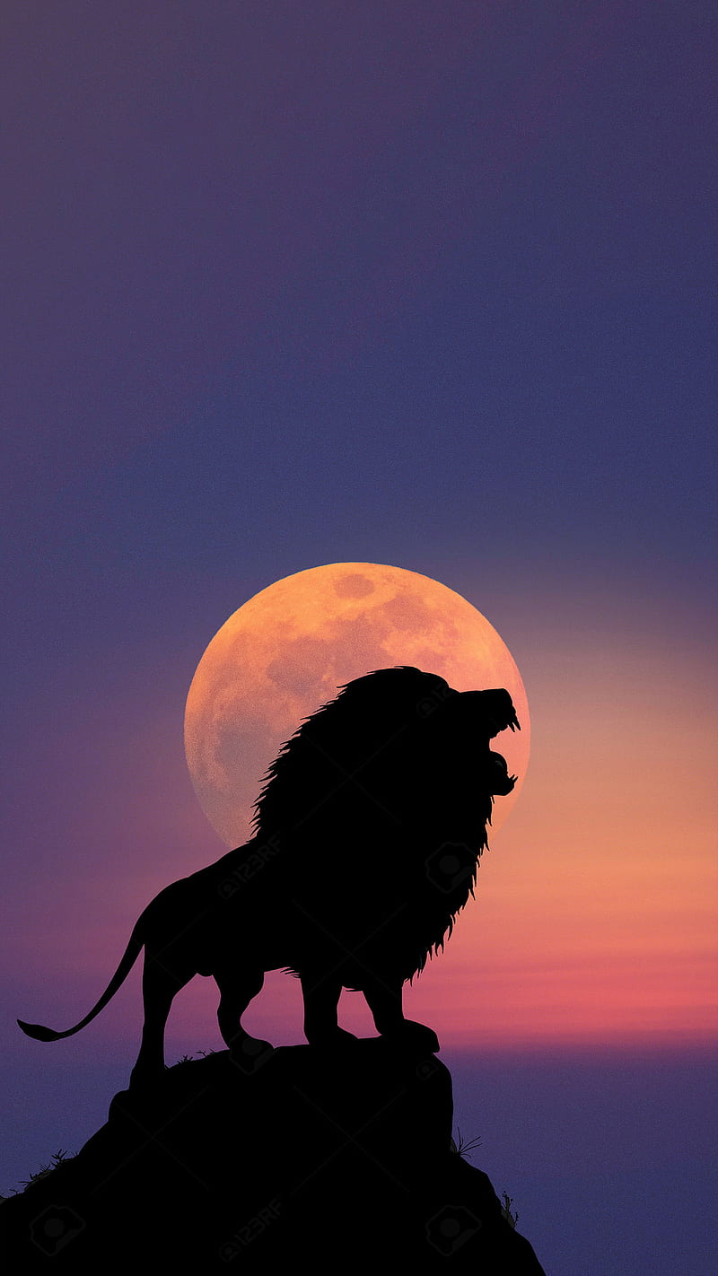 León y luna, vikingos, Fondo de pantalla de teléfono HD | Peakpx