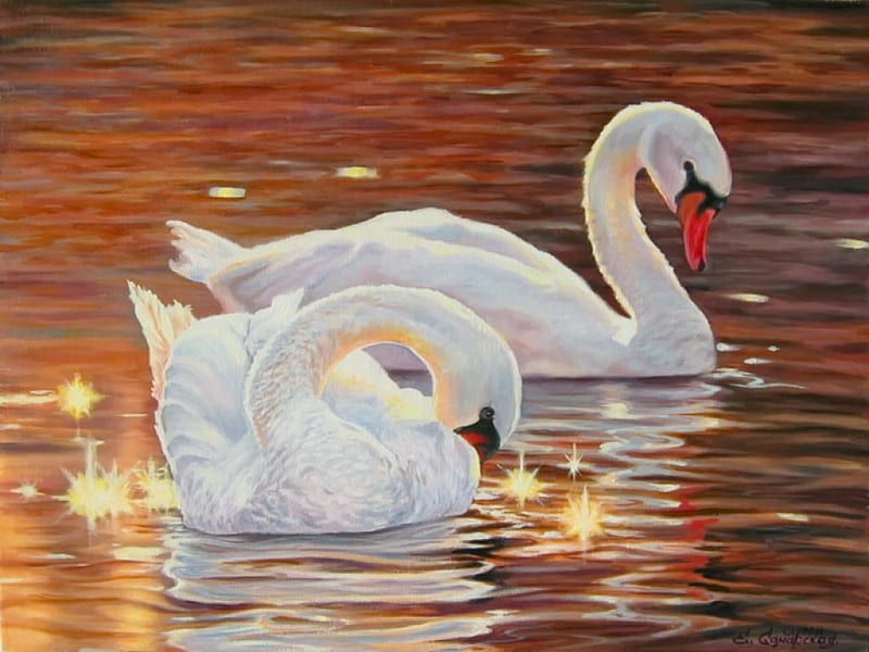 Oh, these swans!, pretty, glow, lovely, golden, bonito, joy, lake, swans, pond, nice, water, love, painting, reflection, swimming, friends, HD wallpaper