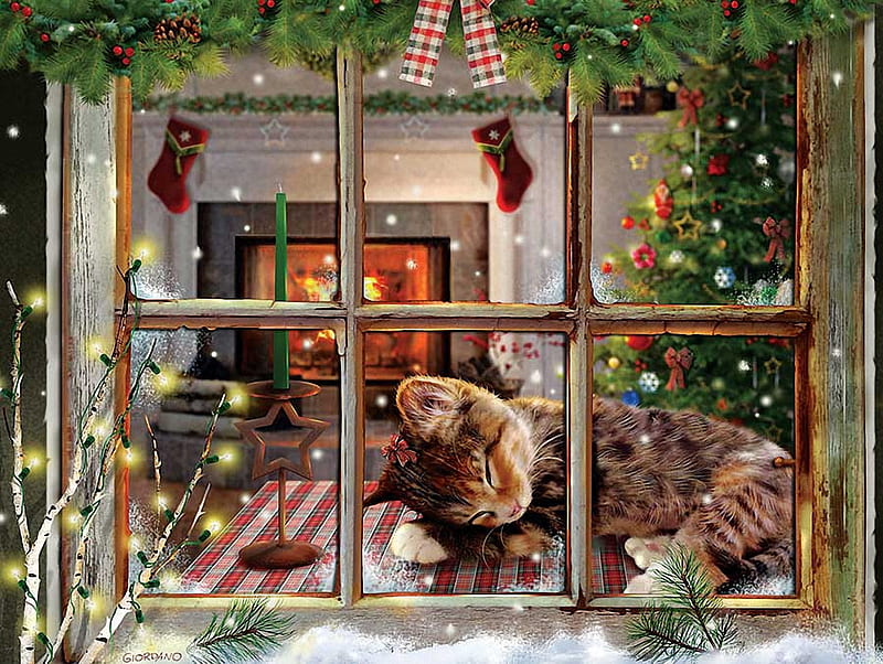 Cat Nap, tree, window, snow, christmas, painting, kitten, artwork, winter, HD wallpaper