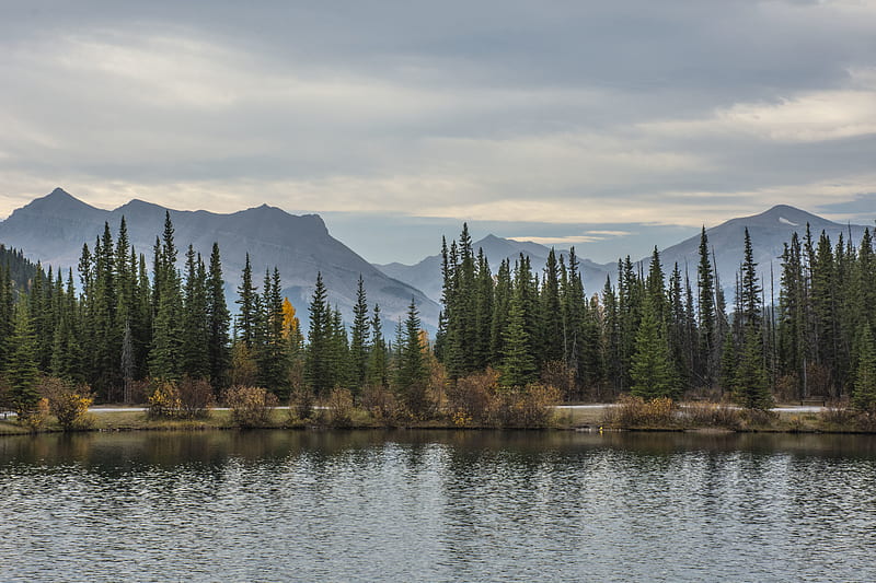 mountains, lake, spruce, trees, autumn, HD wallpaper