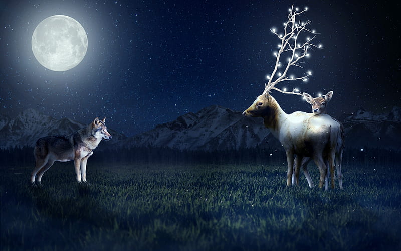 Night hunt, moon, wolf, creative, theo kyriazis, night, deer, cerb, horns, moon, fantasy, HD wallpaper