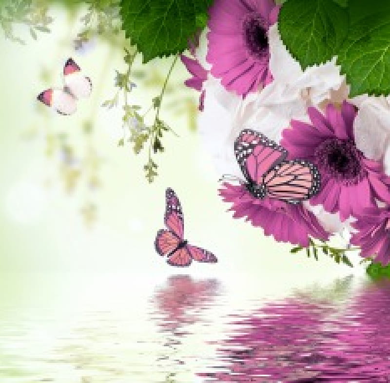 Spring Flowers, water, blossom, purple, gerbera, flowers, spring, butterflies, reflection, HD wallpaper
